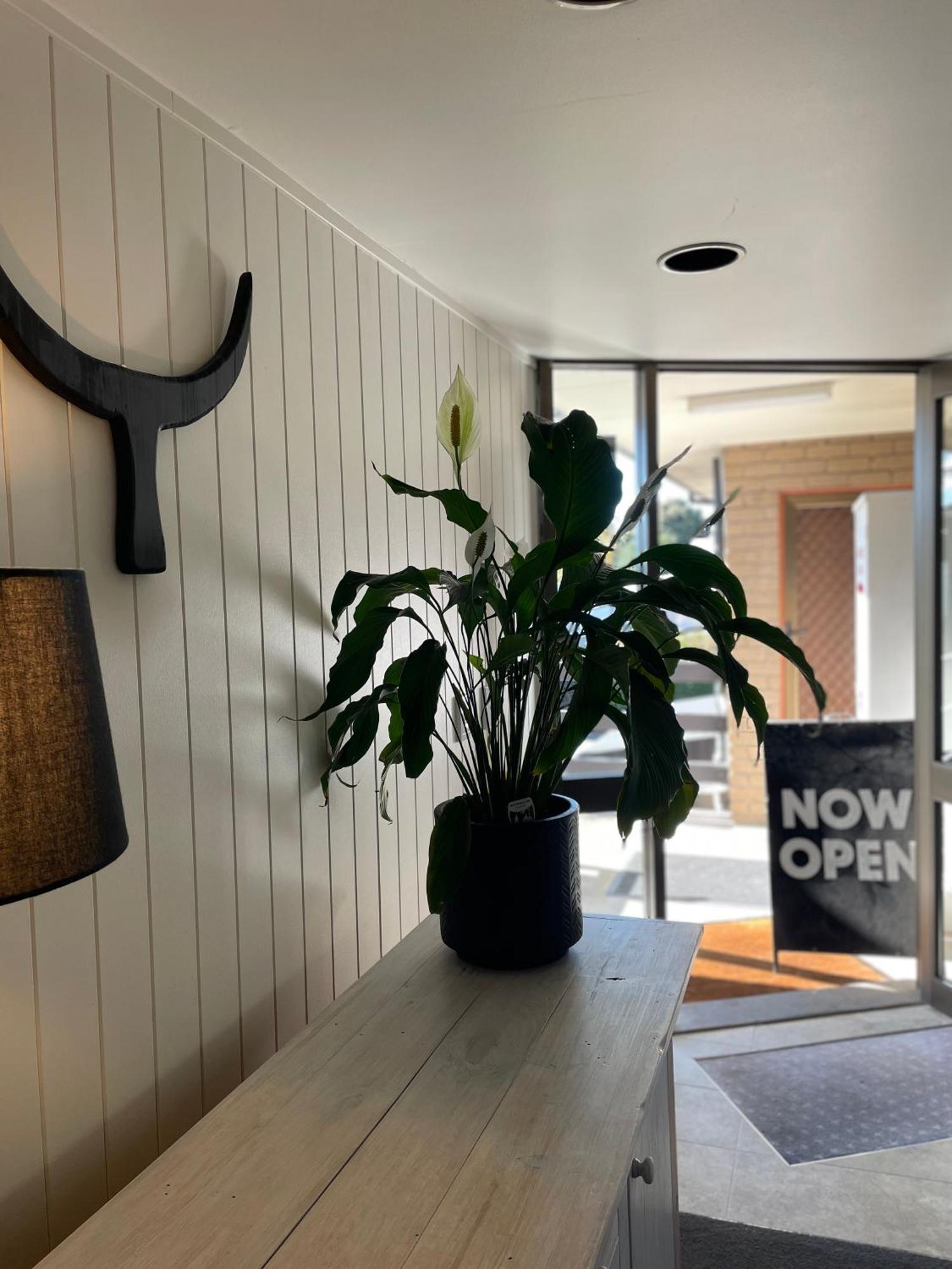 The Black Bull Motel Traralgon Extérieur photo